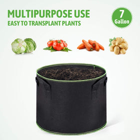 Delxo fabric-bag temperature-control helps plants stay steady across seasons.