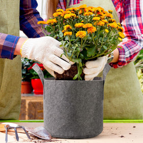 Delxo fabric pots emphasize easy mobility on balcony or patio.