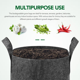 Delxo grow bags in use indoors showing root-friendly breathable environment.