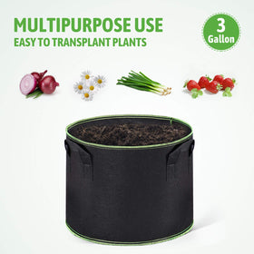 Delxo grow bags in indoor/outdoor setup for versatility.