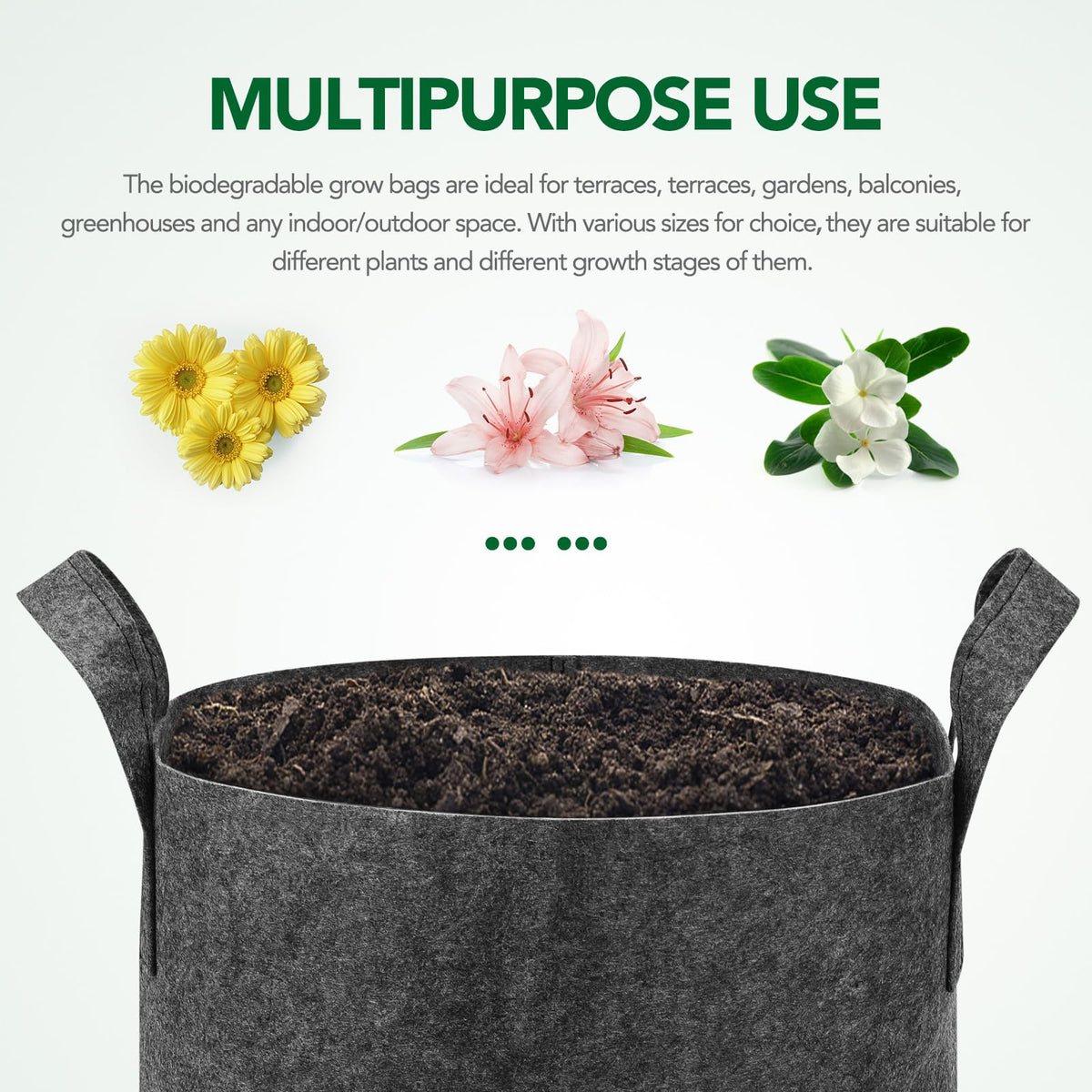 Delxo grow bags with handles enable easy transport and placement.