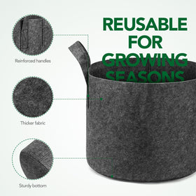 Delxo root formation promote healthy growth through air-pruned roots