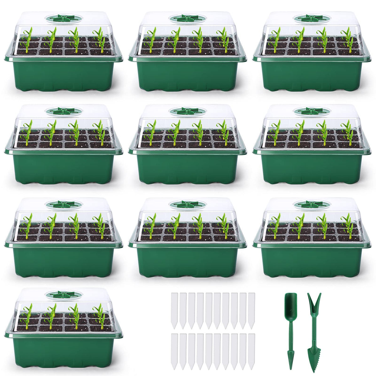 Delxo seed starter kit with 120-cell system, ideal for organizing vegetable and herb germination.