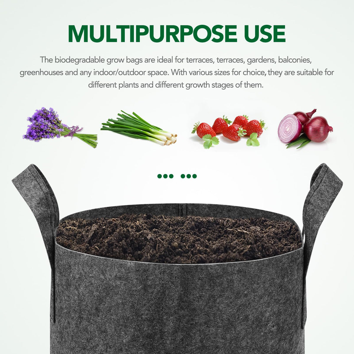 Delxo strawberry grow bag example for fresh berries.