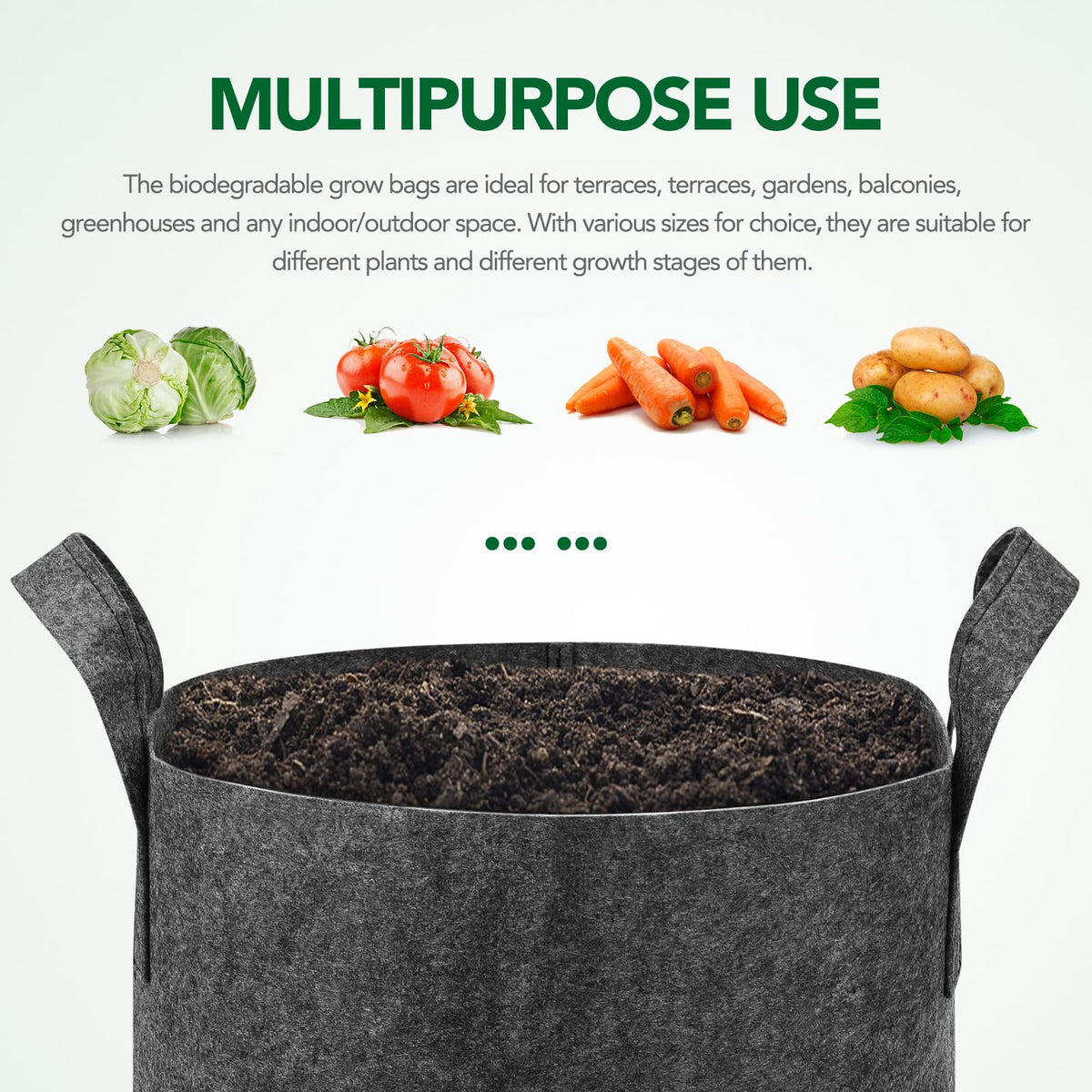Delxo temperature-control design protects plants through seasonal changes
