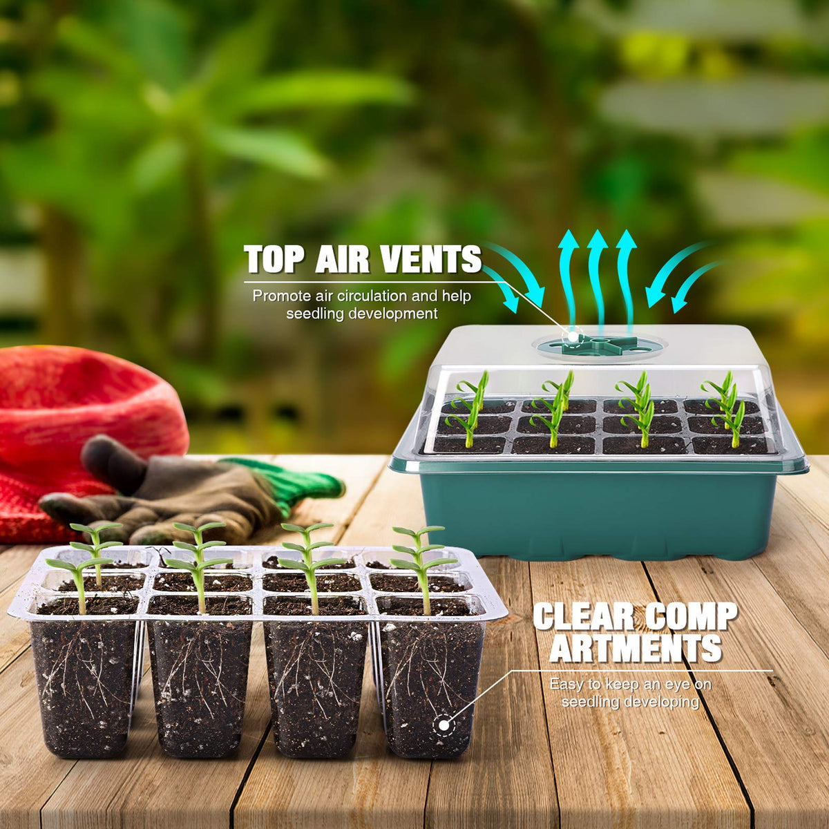 Delxo ultra-clear observation dome for watching seedlings grow without disruption.