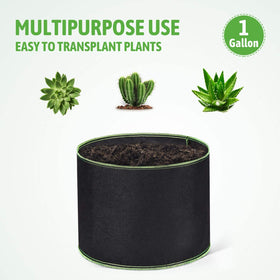 Delxo weather-resistant reusable pots for indoor or outdoor growing.