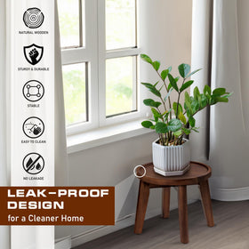 Demigo eight inch tall stand lifts plants off the floor
