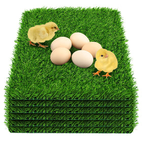 DenForste chicken nesting pads closeup grass texture helps prevent egg slips.