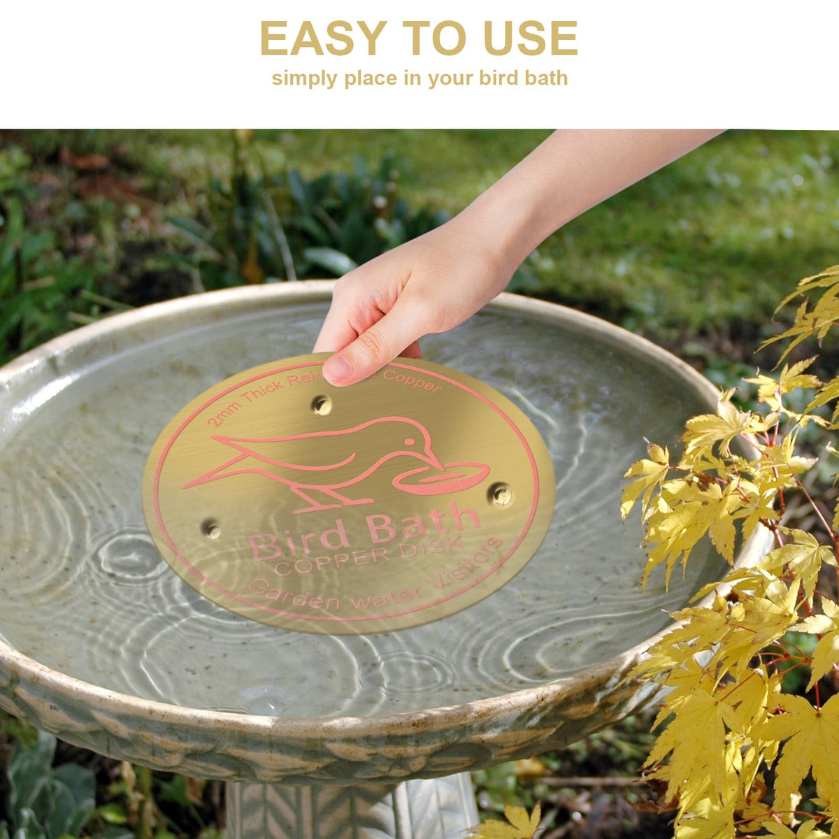 Denwwico disks support bee watering stations and pollinators in the garden.