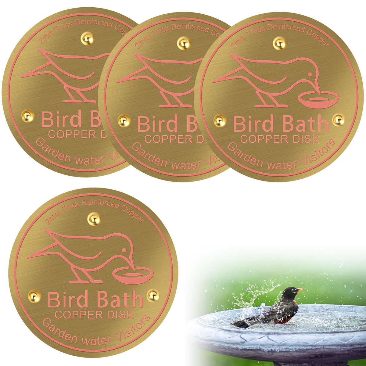 Denwwico copper disks for bird bath bottom view protect water surface naturally.