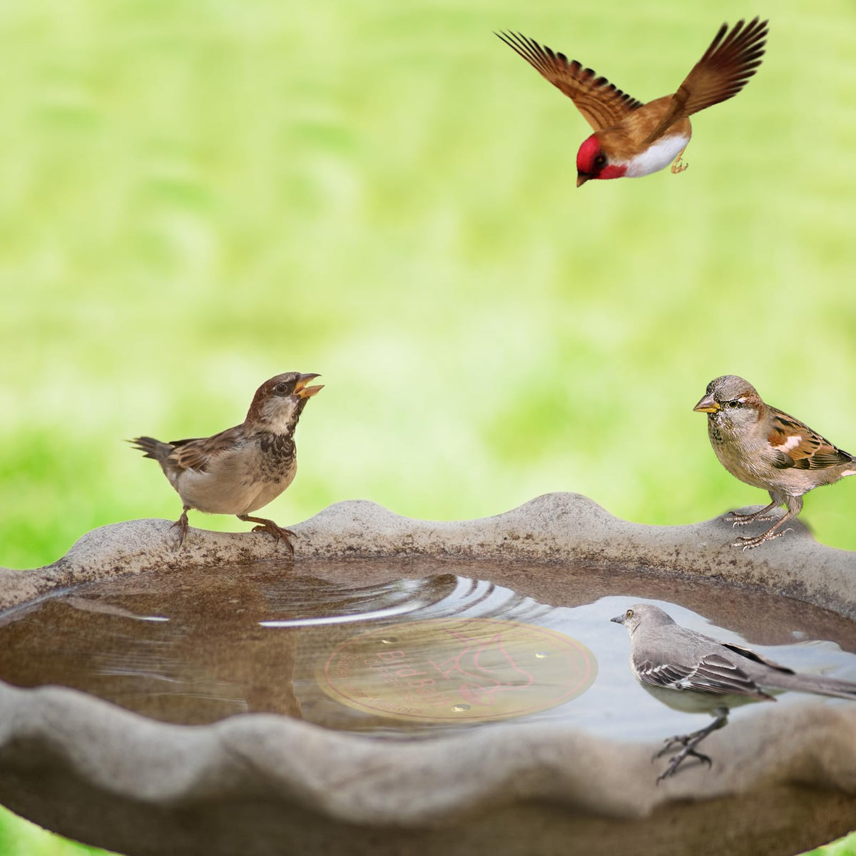 Denwwico outdoor water feature with copper disks reduces maintenance effort.