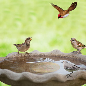 Denwwico outdoor water feature with copper disks reduces maintenance effort.
