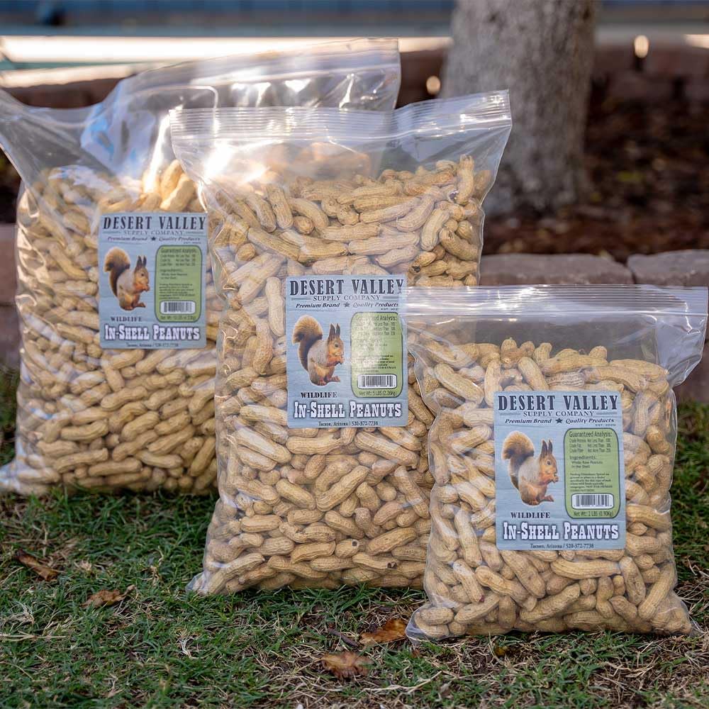 Backyard feeding station with Desert Valley Supply peanuts and visiting wildlife