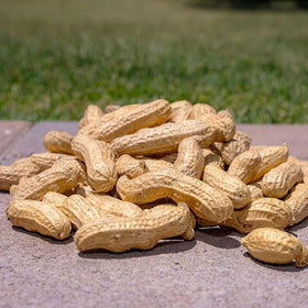 Desert Valley Supply USA-grown peanuts showcasing premium quality