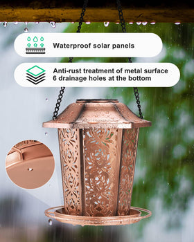 DesGully seed tray with drain holes keeps seeds dry