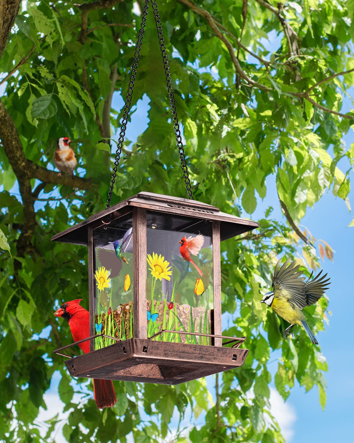 No assembly required with DesGully solar feeder—hang and enjoy.