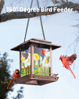 Top-fill access on the DesGully feeder simplifies refills and seed monitoring.