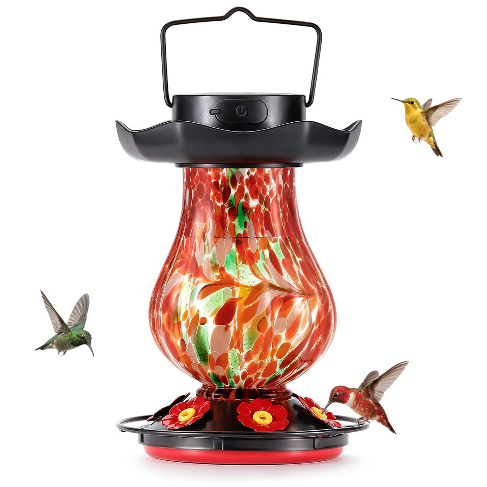 DesGully solar hummingbird feeder with moat protects nectar and attracts birds.