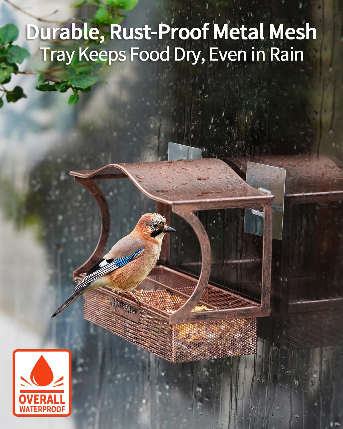 DesGully window bird feeder close-up view ideal for near-field birdwatching.
