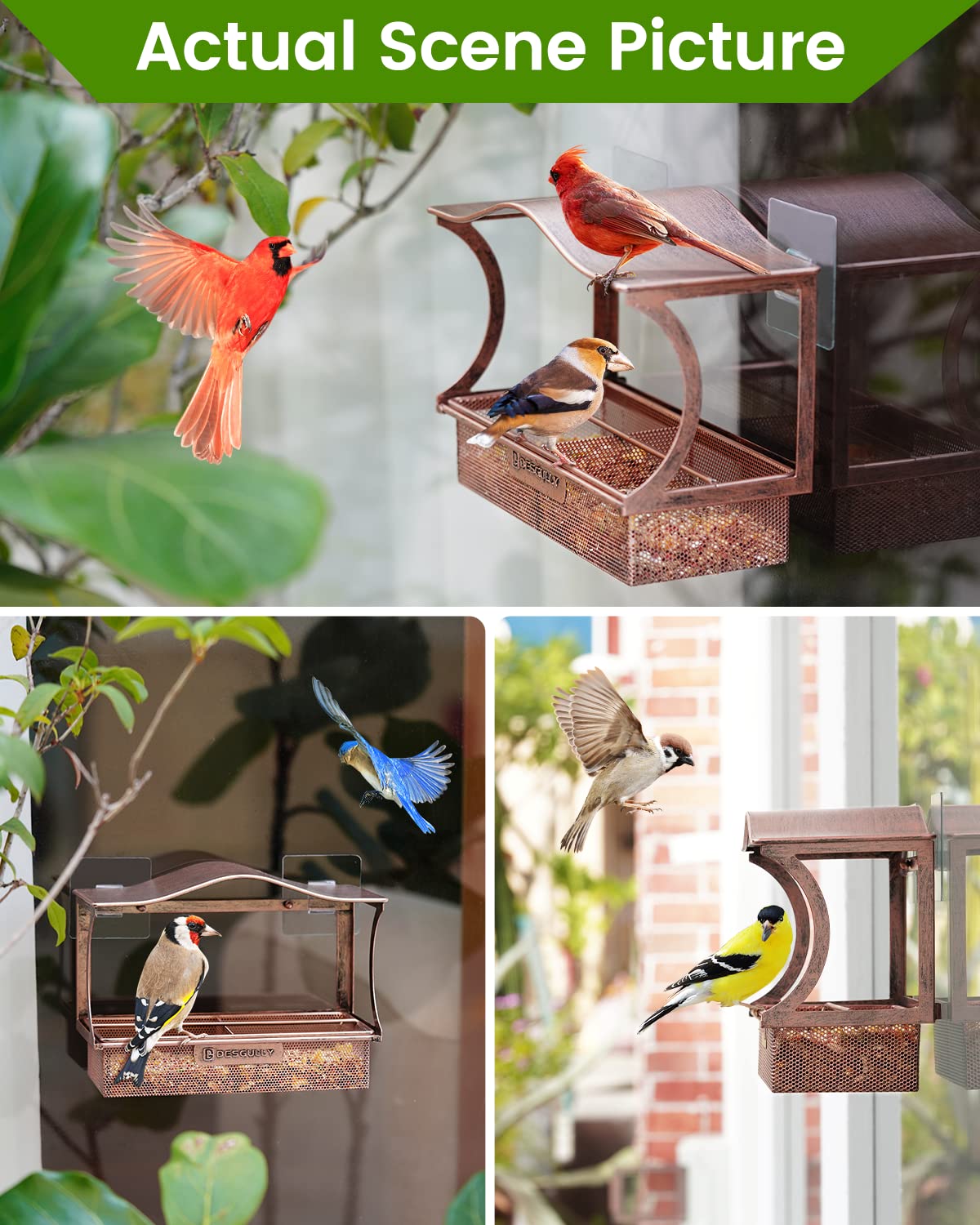 DesGully gift-ready packaging for bird lovers and gardeners.