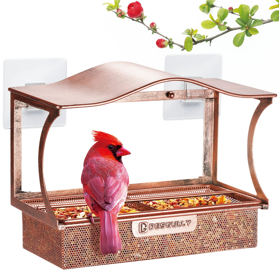 DesGully window bird feeder with metal and strong suction cups for stable window mounting.