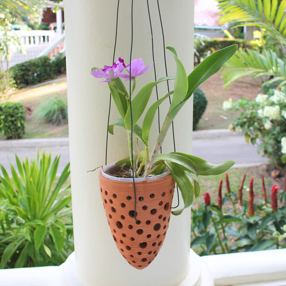 DESQUIGGLE handmade terracotta pots add rustic charm