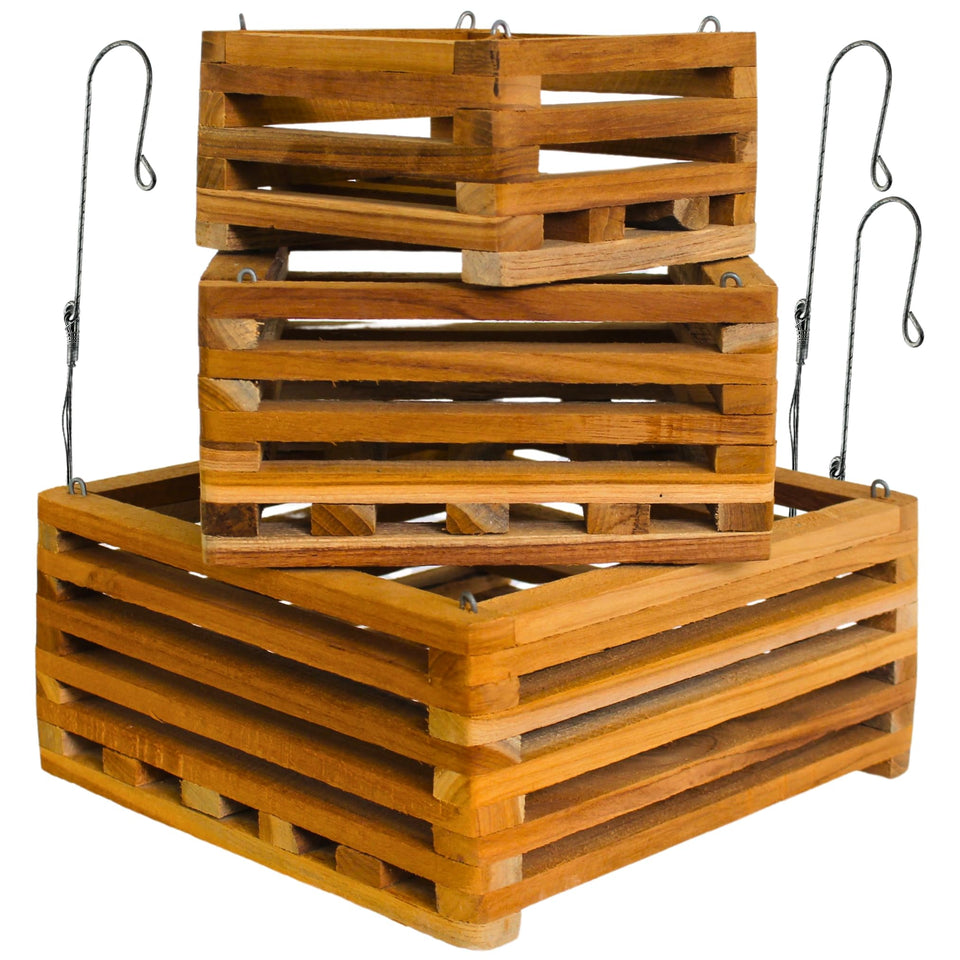 DESQUIGGLE orchid basket set of 3 with hangers for sturdy outdoor display.