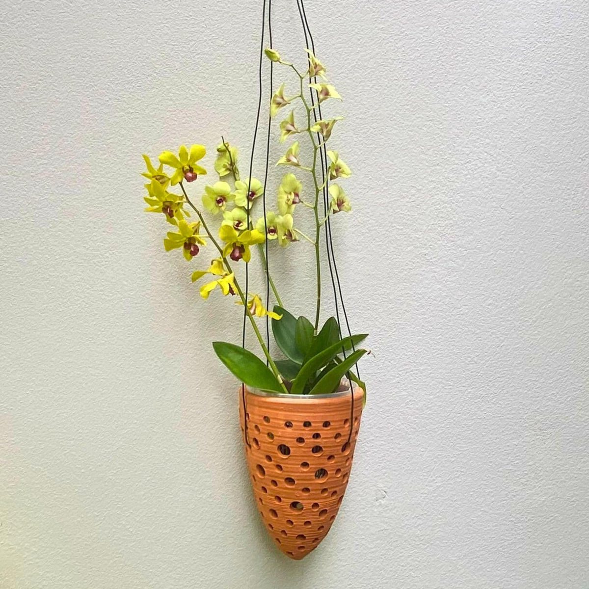 DESQUIGGLE outdoor hanging display idea for gardens
