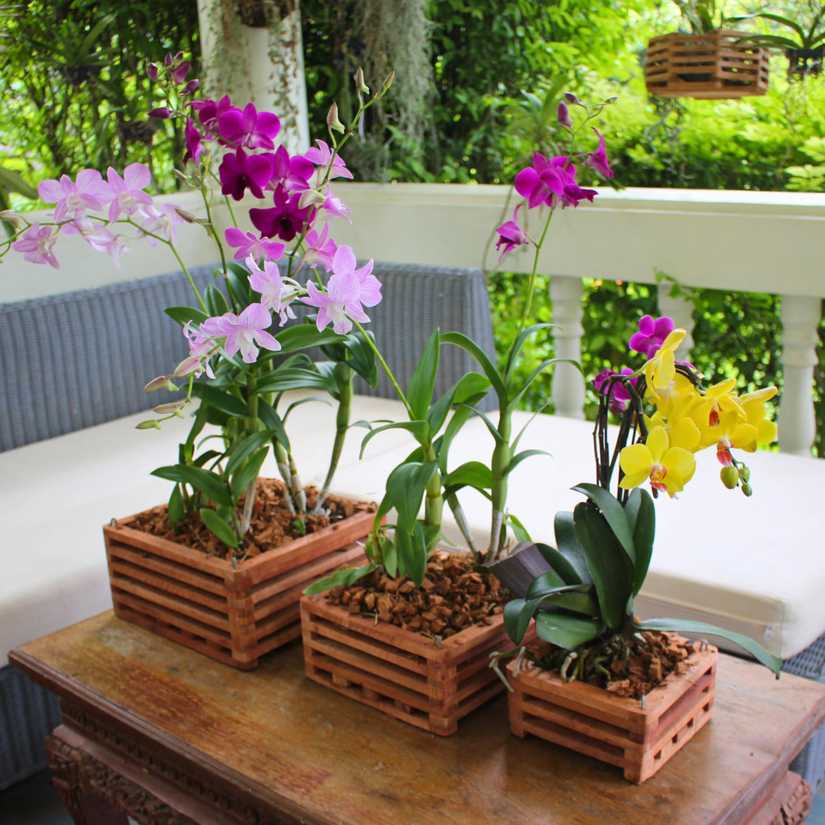 DESQUIGGLE versatile display for indoors or outdoors.