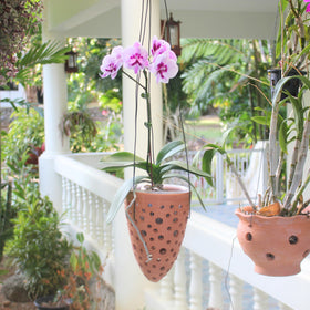 DESQUIGGLE terracotta orchid pots with holes for airflow