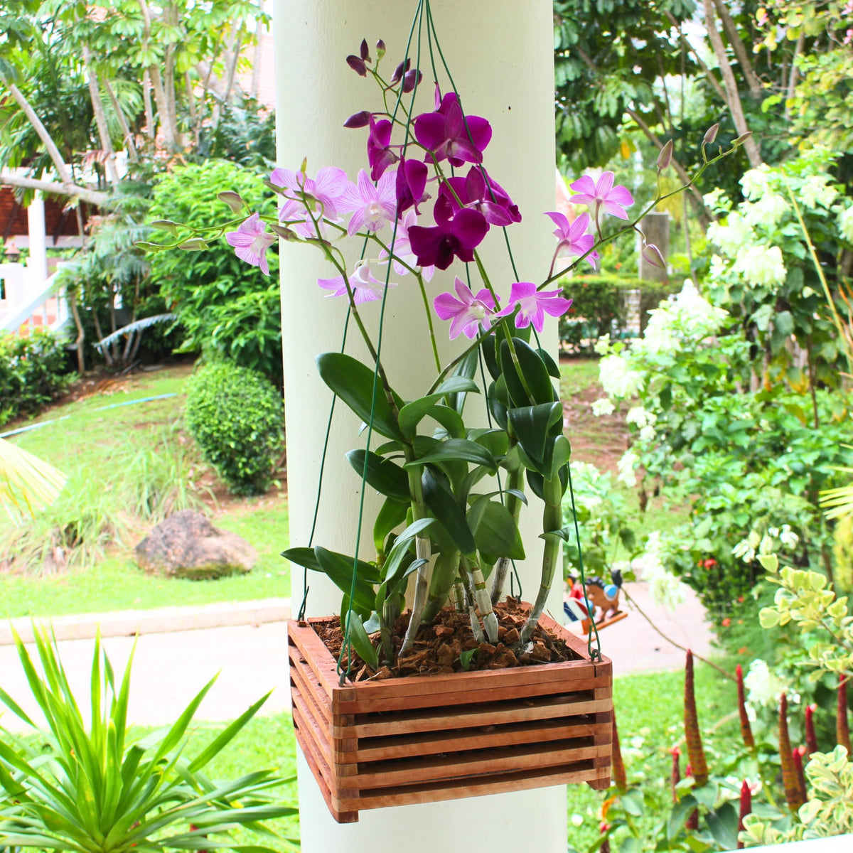 DESQUIGGLE 8-inch wooden Vanda basket with breathable slats for airflow.