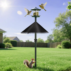 Detoypapa installation distance guide illustrates 8–10 ft from trunk.