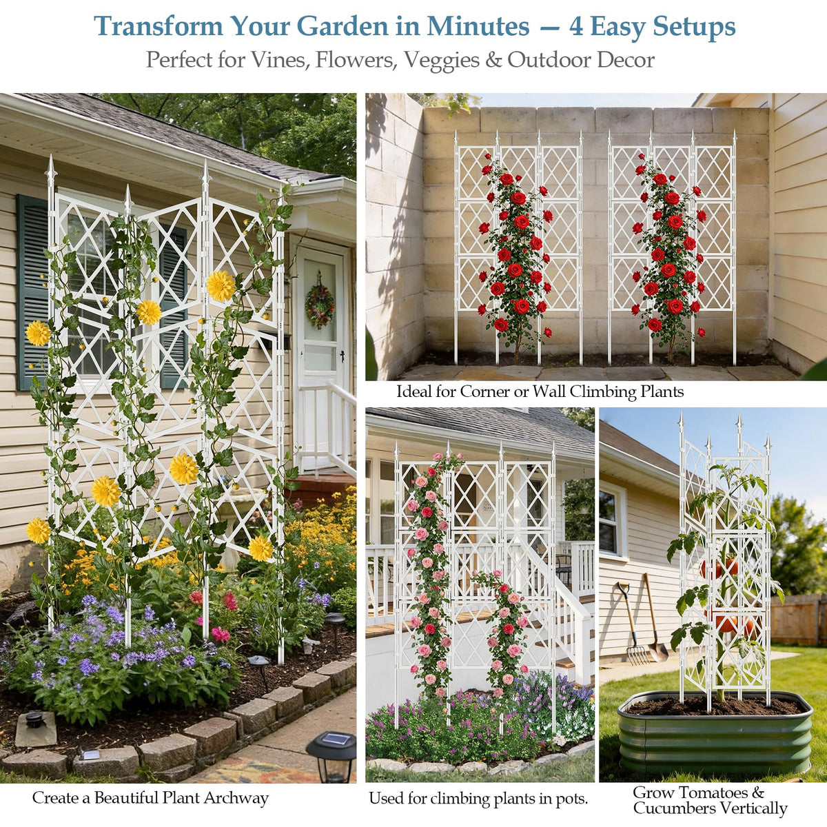 DEVISEFUN garden partition trellis creates defined zones and focal points.