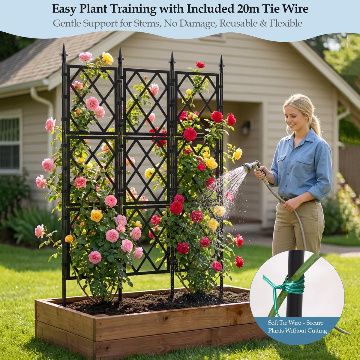 DEVISEFUN heavy-duty plant trellis stabilizes fruiting vines and flowering climbers.