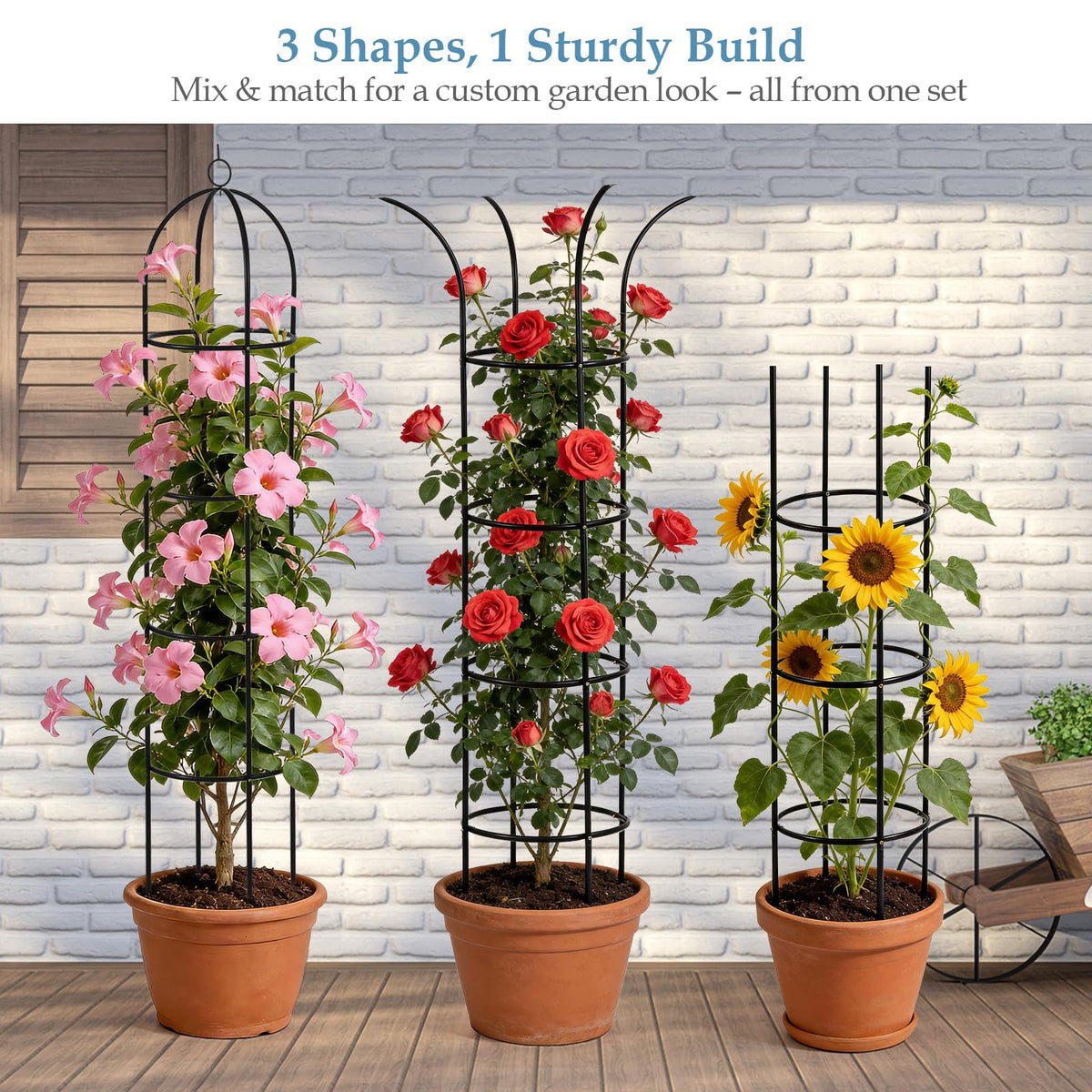 DEVISEFUN trellis with climber in a lush garden setup