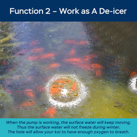 Devopet year-round aeration helps prevent winter ice and supports aquatic life.