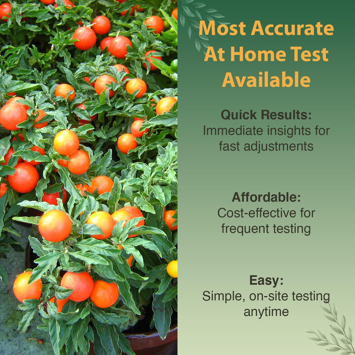 Dewilde premium kit quick-start guide for easy testing.