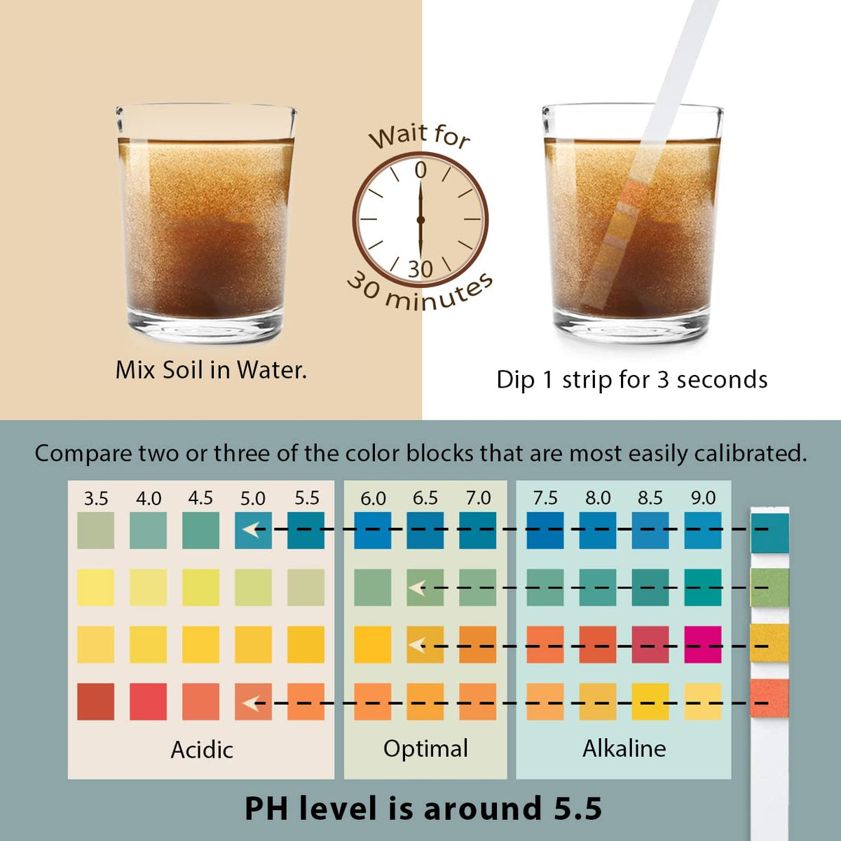 Dewilde pH testing kit in hand for quick soil checks