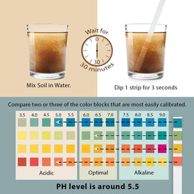 Dewilde pH testing kit in hand for quick soil checks