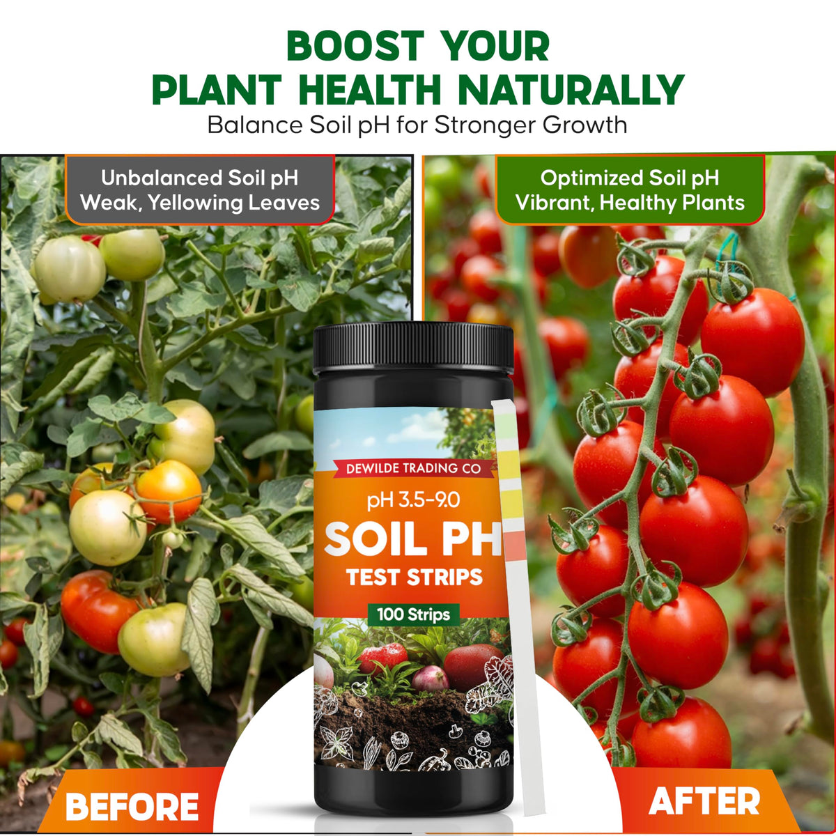 Vegetable garden pH check with the Dewilde testing kit