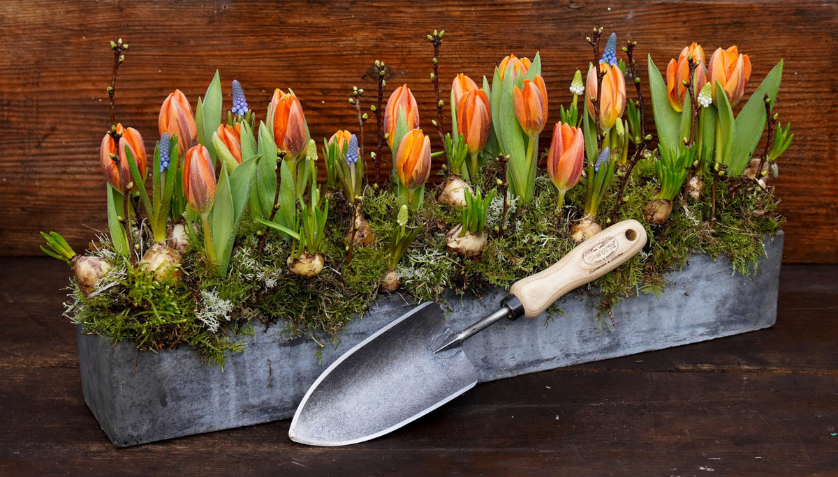 DeWit Tierra forged hand trowel lifetime durability means long-term garden companion