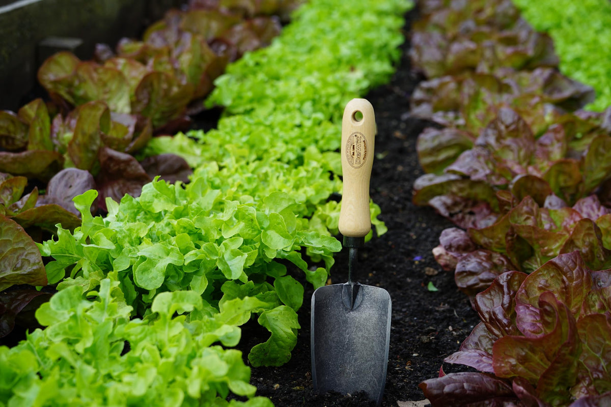 DeWit Tierra forged hand trowel sharpened edge cuts through roots