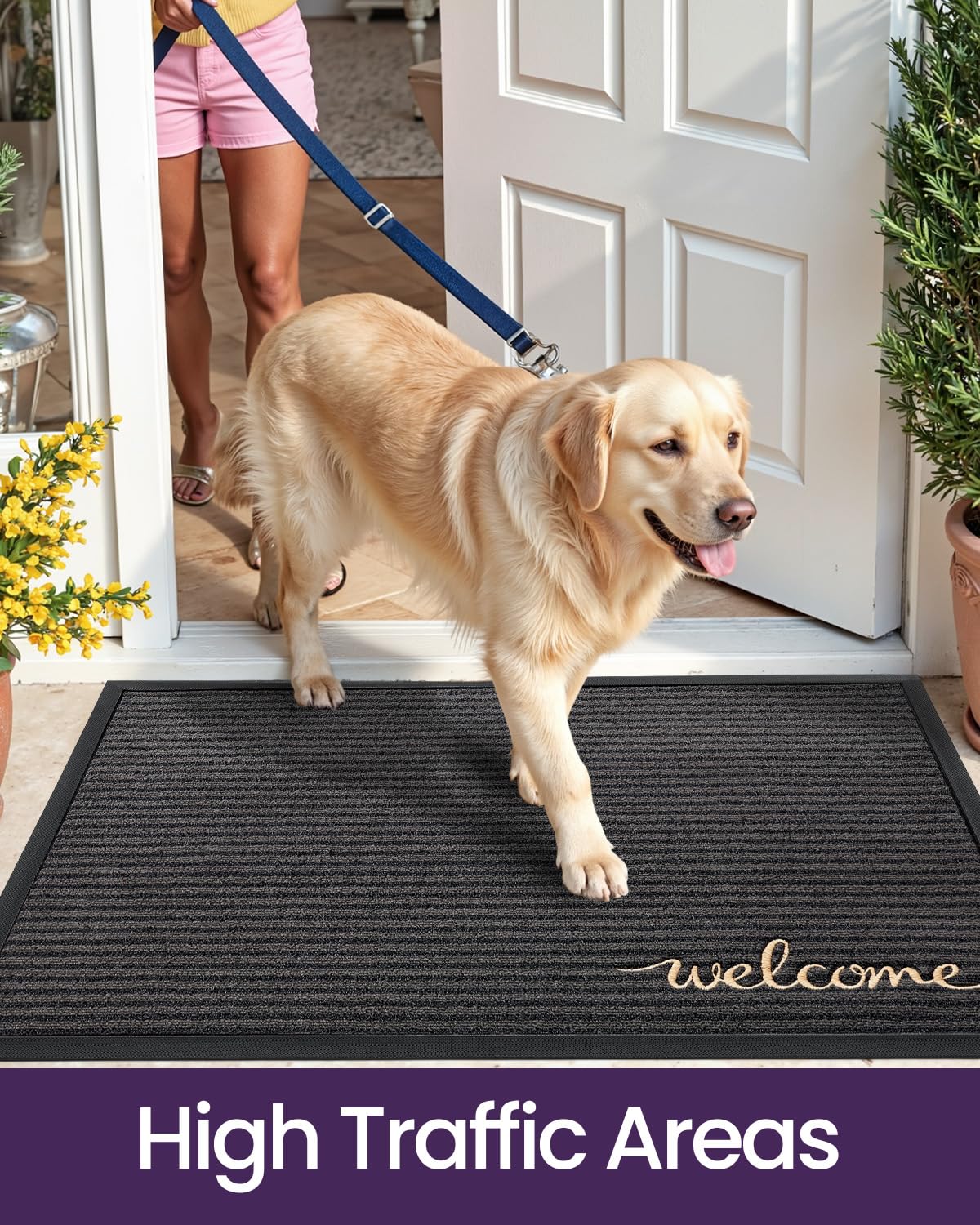 DEXI dirt and moisture absorption helps reduce indoor mess