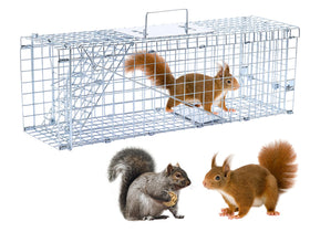 Dexyla 24-inch live animal trap front view in galvanized steel for humane wildlife capture
