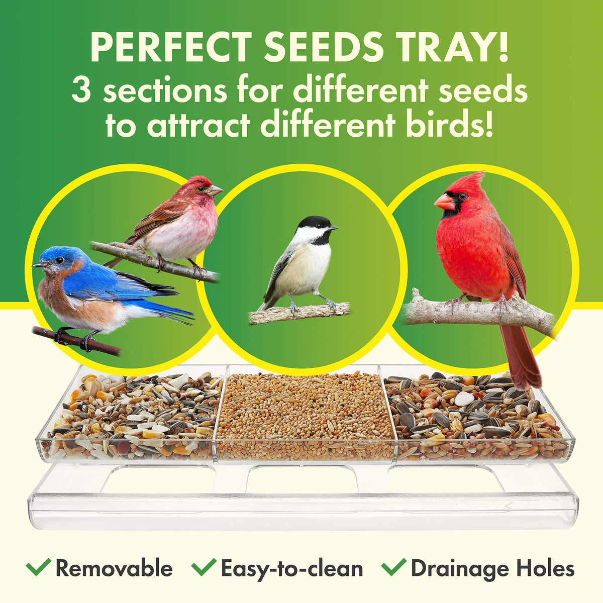 DF OMER clear acrylic feeder offers unobstructed views of visiting birds.