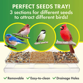 DF OMER clear acrylic feeder offers unobstructed views of visiting birds.