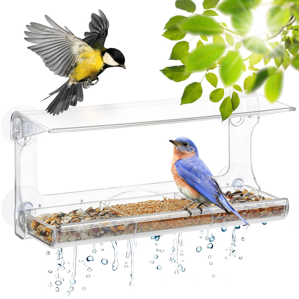 DF OMER window bird feeder with 3-section tray for close, peaceful backyard birdwatching.
