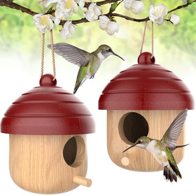 DFANG window-view bird house assembly features durable wood for year-round outdoor use