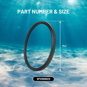 DFD gasket compatibility with Hayward AstroLite SPX0580Z2 for reliable retrofits